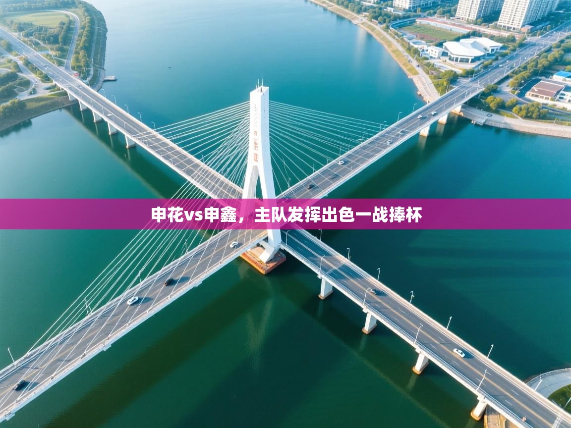 申花vs申鑫，主队发挥出色一战捧杯