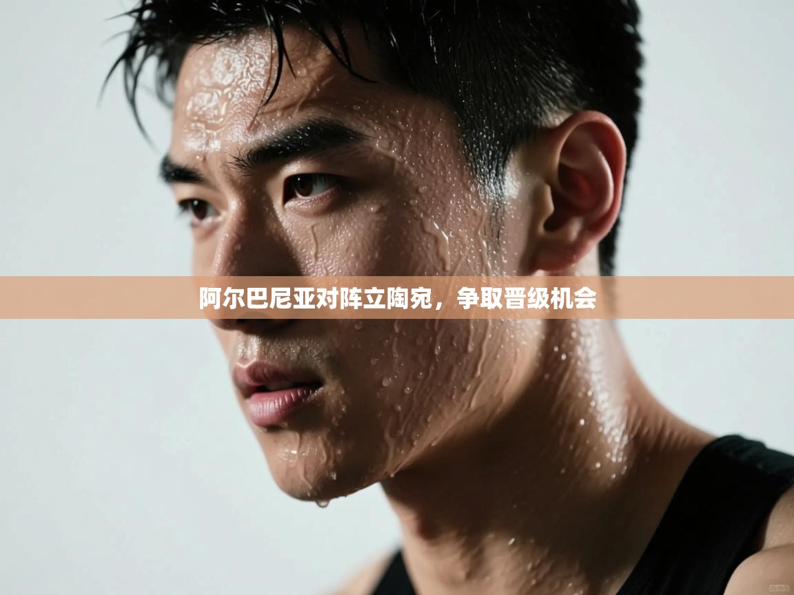 阿尔巴尼亚对阵立陶宛，争取晋级机会  第2张