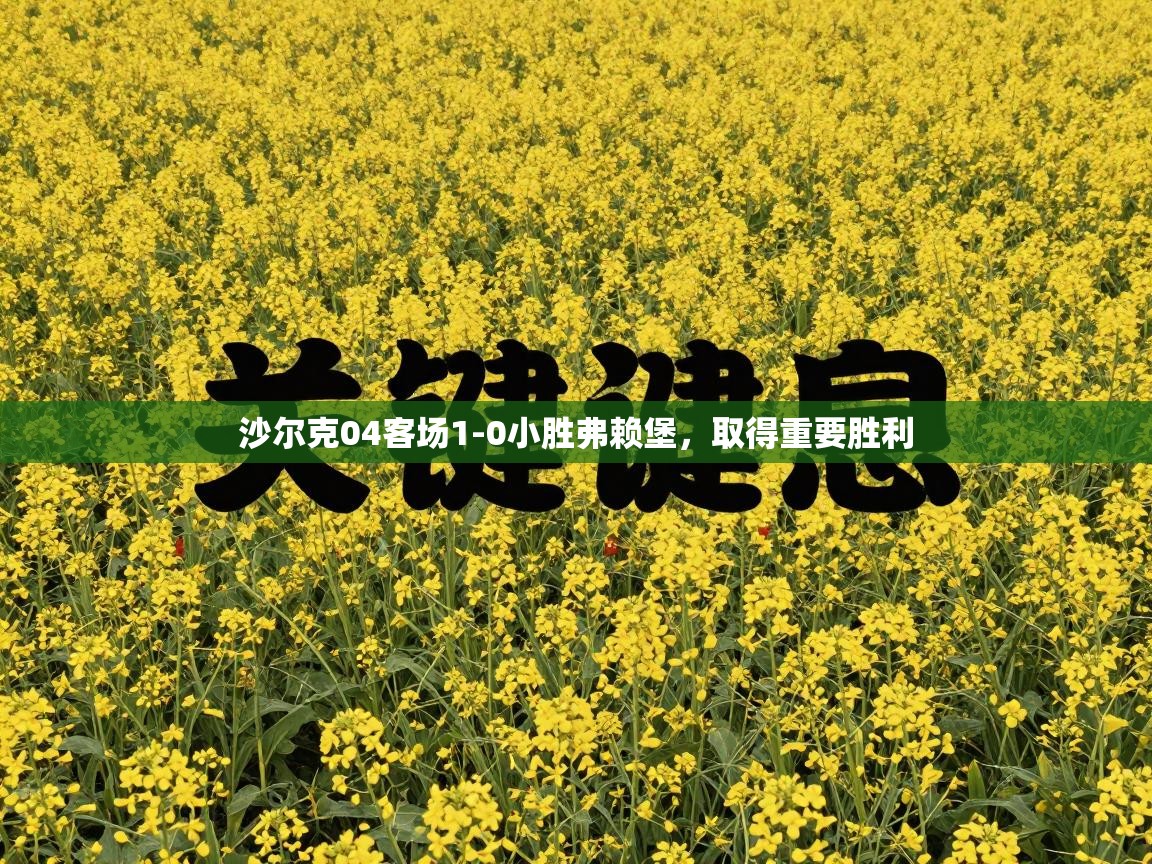 沙尔克04客场1-0小胜弗赖堡，取得重要胜利  第2张