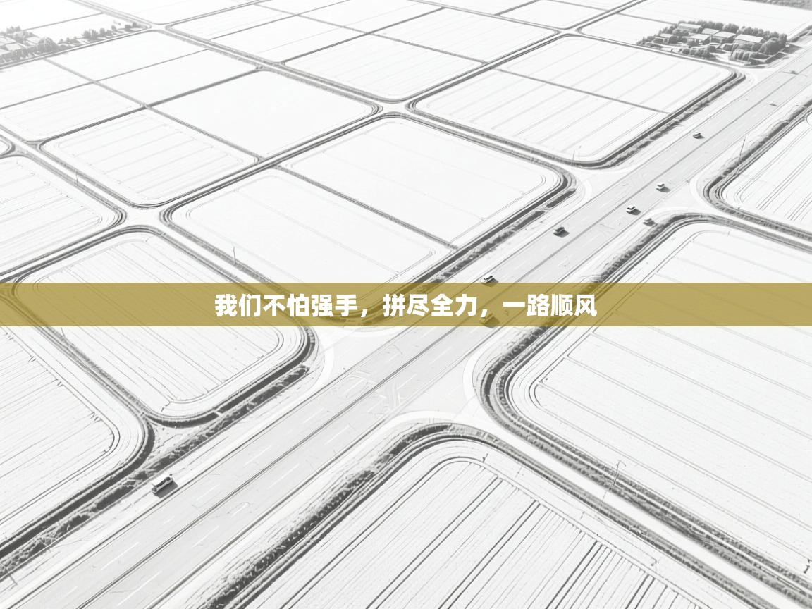 我们不怕强手，拼尽全力，一路顺风