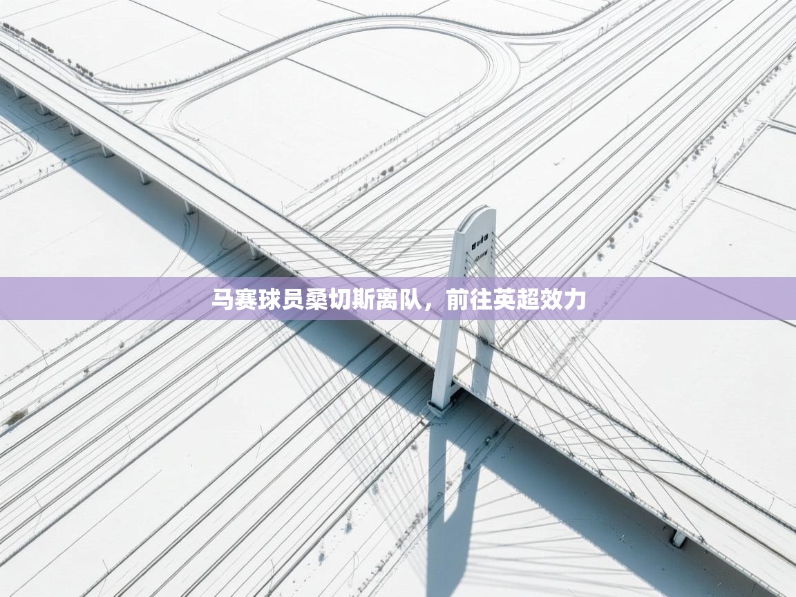 马赛球员桑切斯离队,前往英超效力