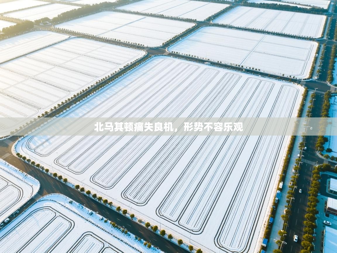 北马其顿痛失良机,形势不容乐观